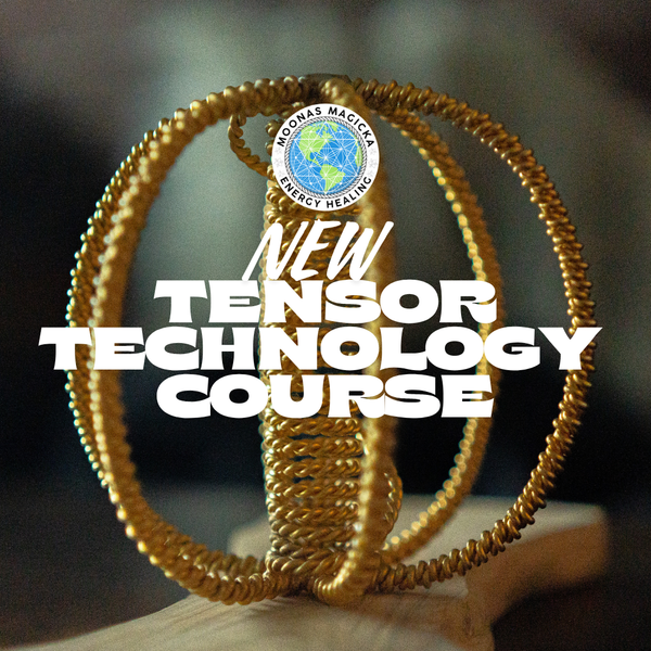 Beginner- Tensor Technology Creation Course