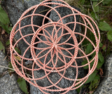 Regenerate Atlantis 3D Torus