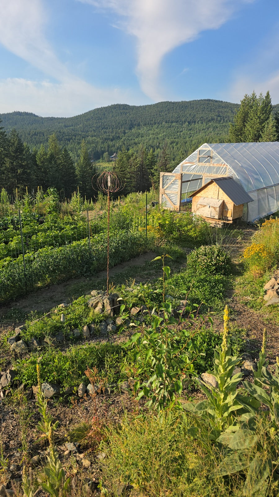 The Electroculture Harmonizer Antenna standing in a living garden beside a greenhouse